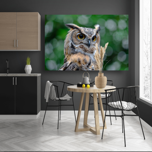 De Majestueuze Blik van een Uil poster