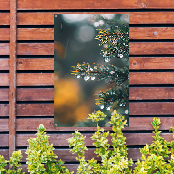 Regendruppels op Dennennaalden in Zachte Focus tuinposter