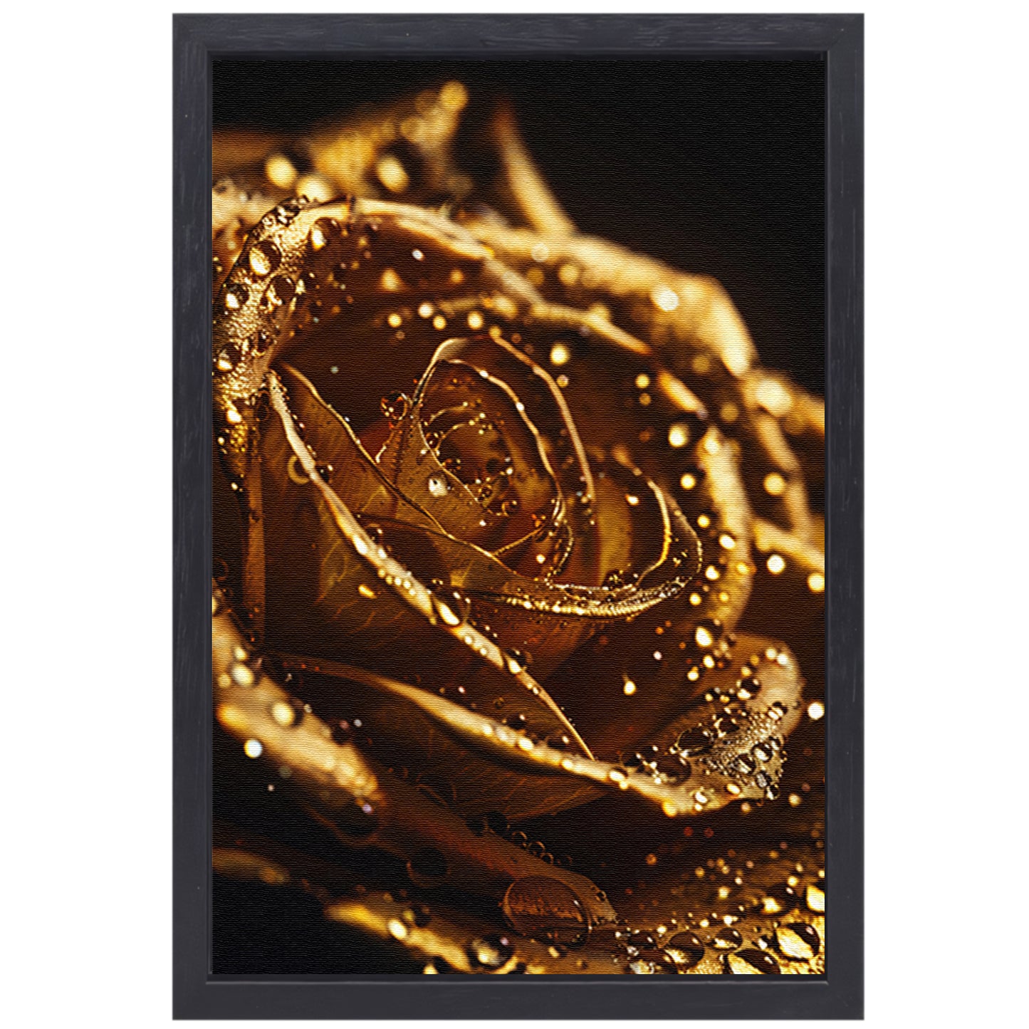 Gouden roos met glinsterende dauwdruppels close-up canvas met baklijst
