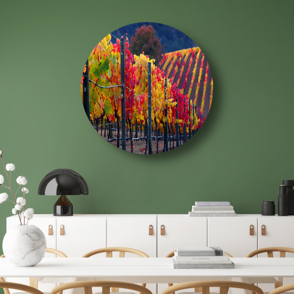 Wijngaard in Herfsttinten Panorama aluminium muurcirkel