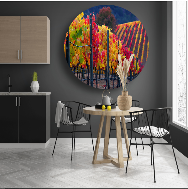Wijngaard in Herfsttinten Panorama aluminium muurcirkel