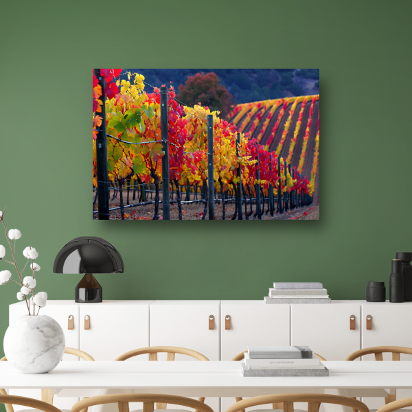 Wijngaard in Herfsttinten Panorama canvas