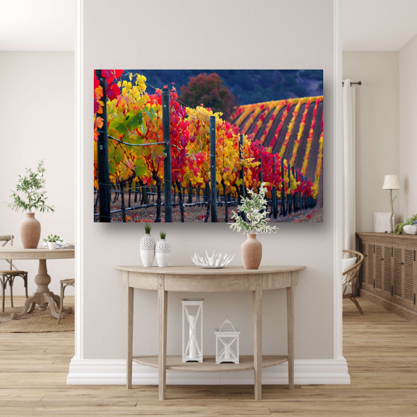 Wijngaard in Herfsttinten Panorama canvas