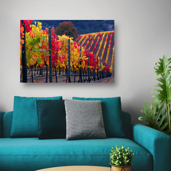 Wijngaard in Herfsttinten Panorama canvas
