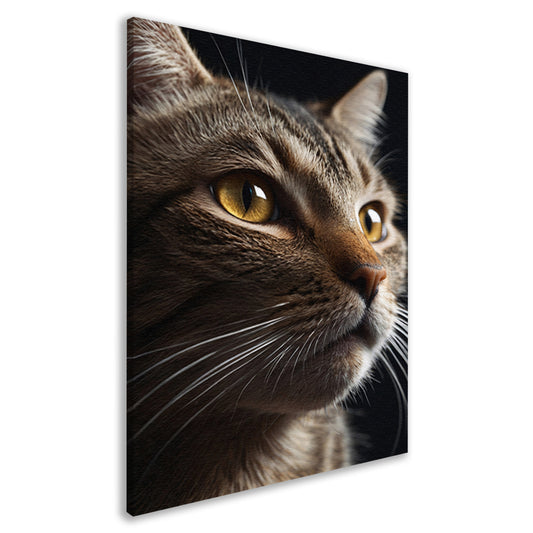 Diepgaande blik van een bruine kat canvas
