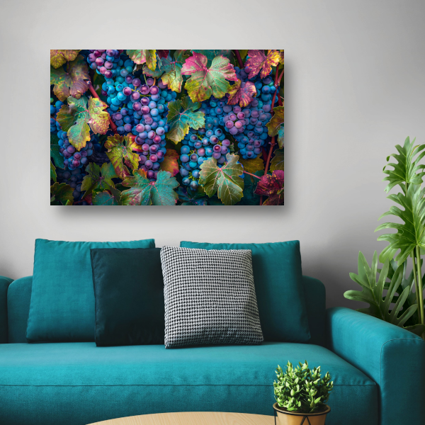 Druiven op wijnstok canvas