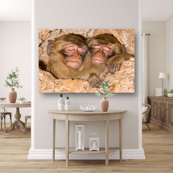 Slapende apen in een veilige schuilplaats canvas