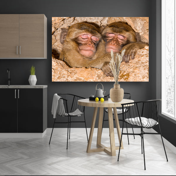 Slapende apen in een veilige schuilplaats canvas