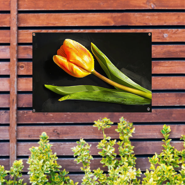 Gele tulp met waterdruppels op zwart tuinposter