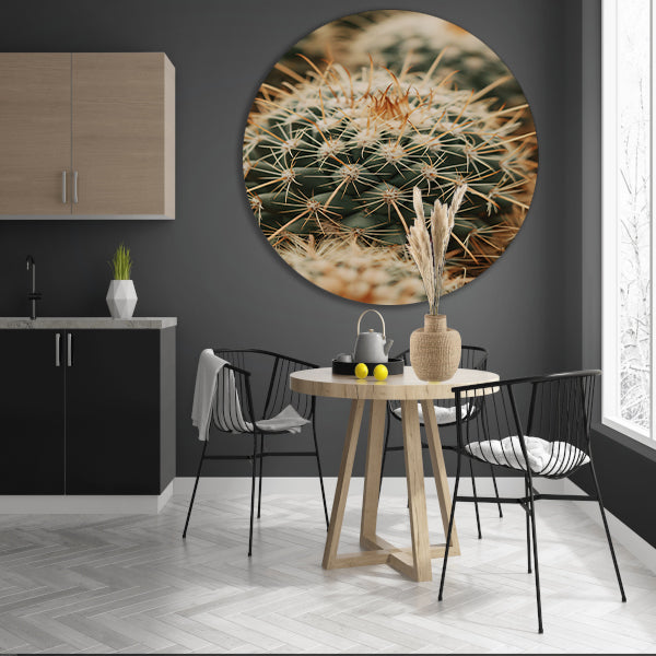 Close-up van een groene cactus forex muurcirkel