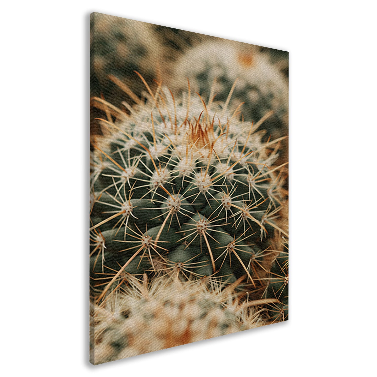 Close-up van een groene cactus canvas