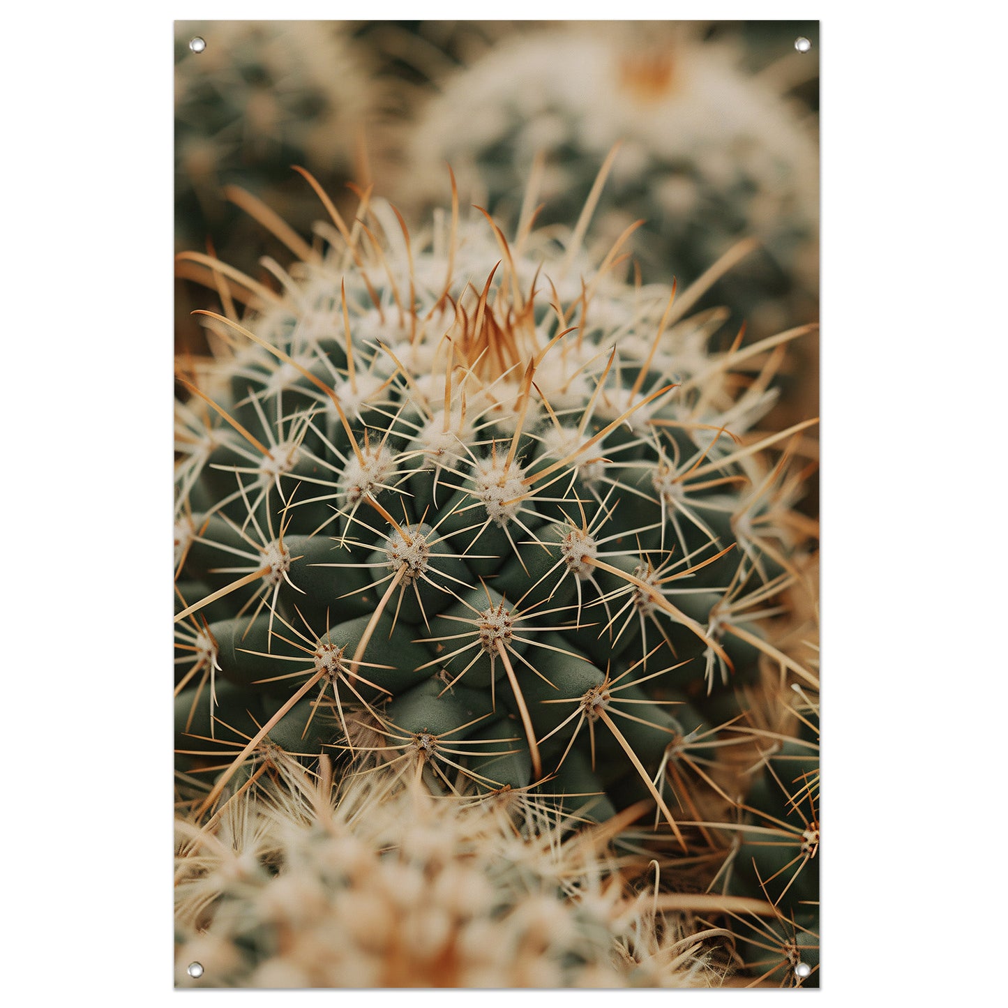 Close-up van een groene cactus tuinposter