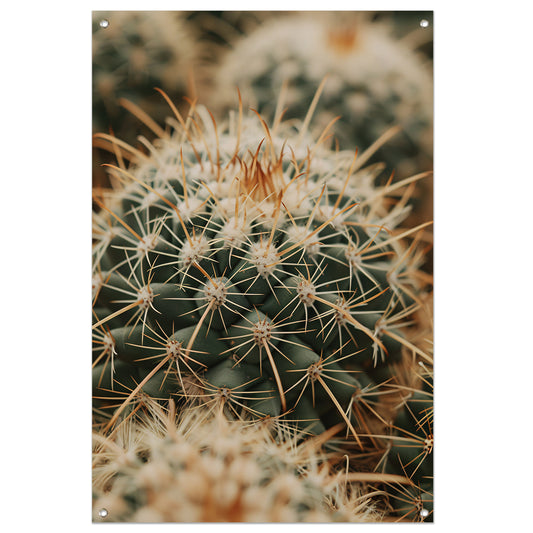Close-up van een groene cactus tuinposter
