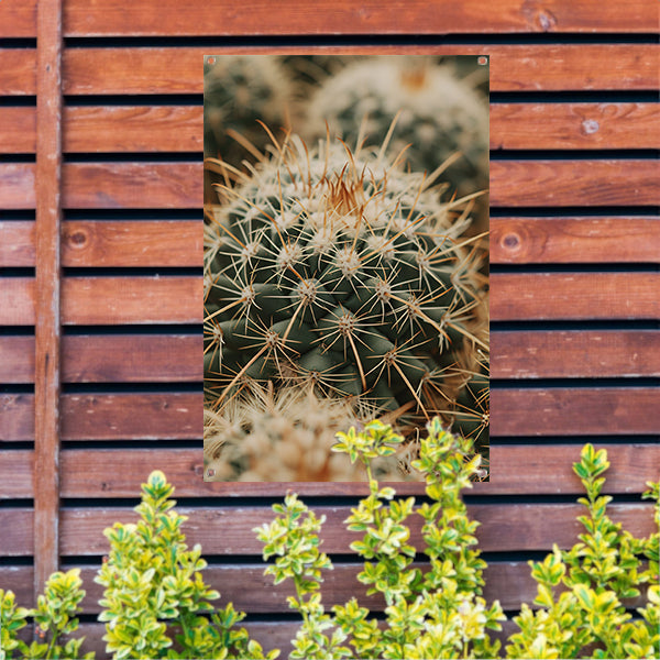 Close-up van een groene cactus tuinposter