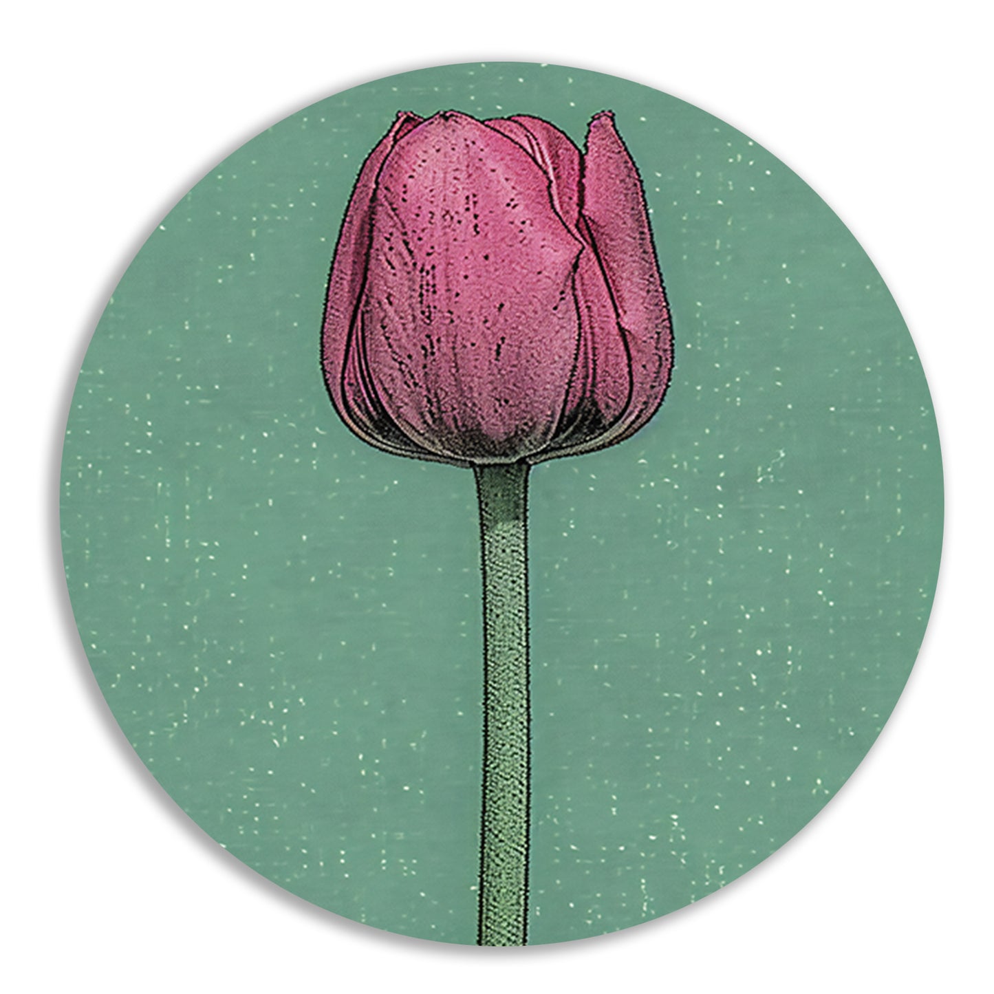 Prachtige pop-art schilderij van een tulp forex muurcirkel