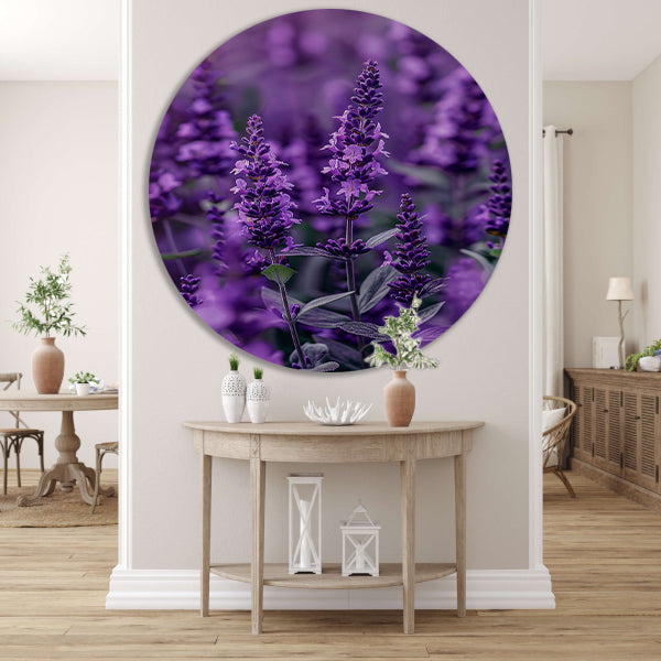 Close-up van paarse lavendel in bloei forex muurcirkel
