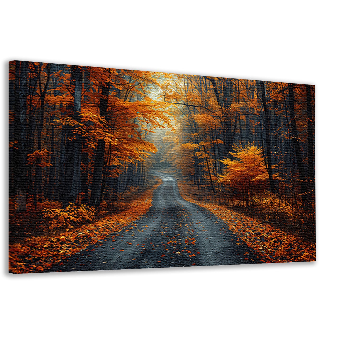 Verlaten bospaadje in zwart-wit canvas