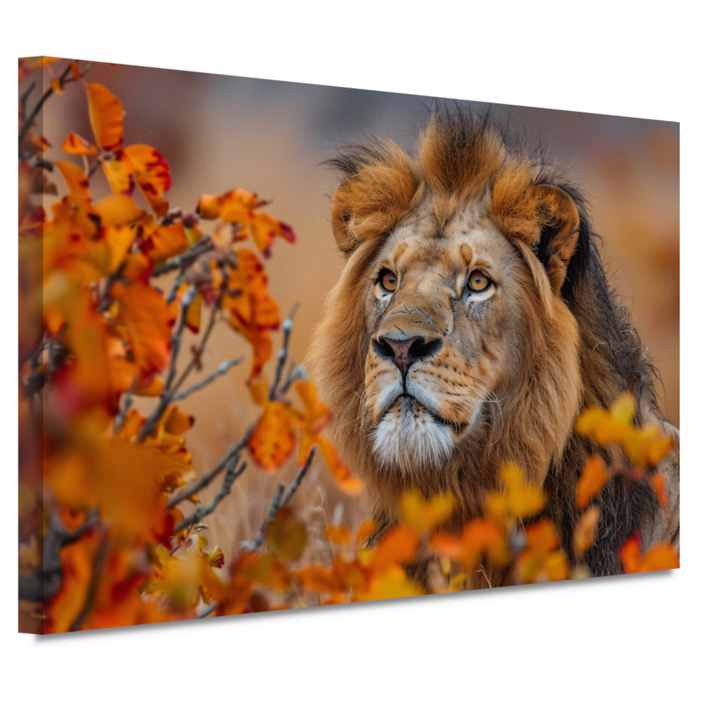 Leeuw in Herfstbladeren - Natuurs Koningschap canvas