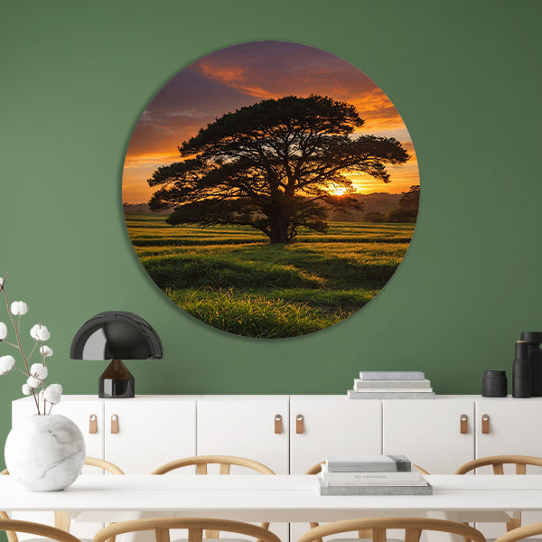 Zonsondergang achter majestueuze boom in landschap aluminium muurcirkel