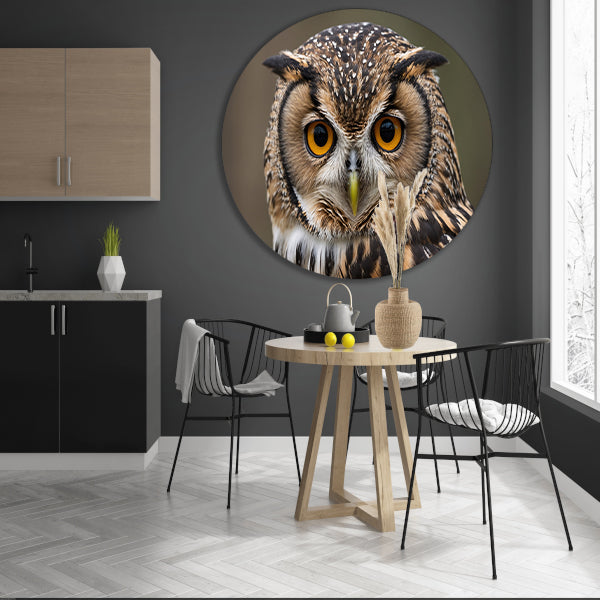 Majestueuze uil met intense blik aluminium muurcirkel