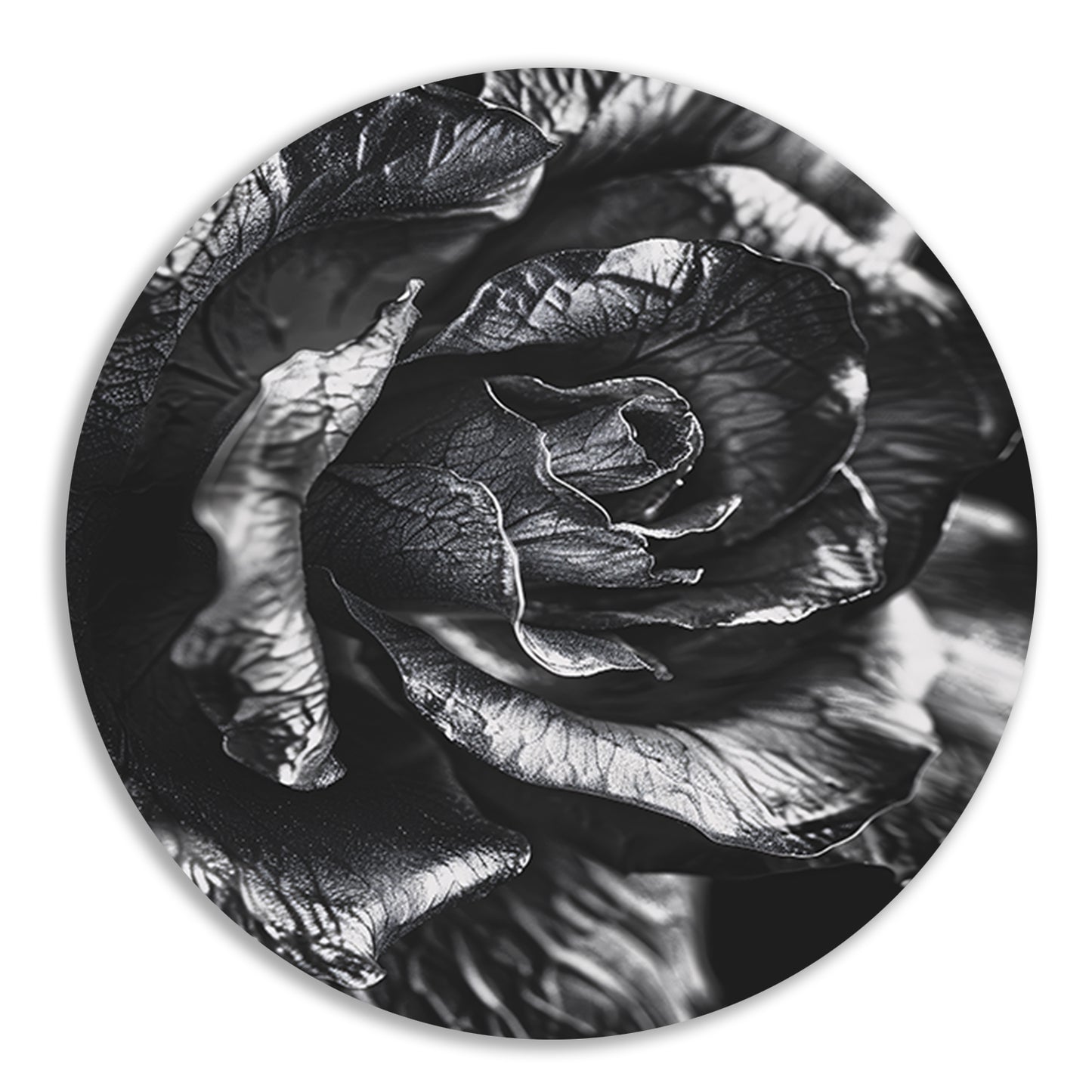 Elegante zwart-wit macrofotografie van een roos aluminium muurcirkel