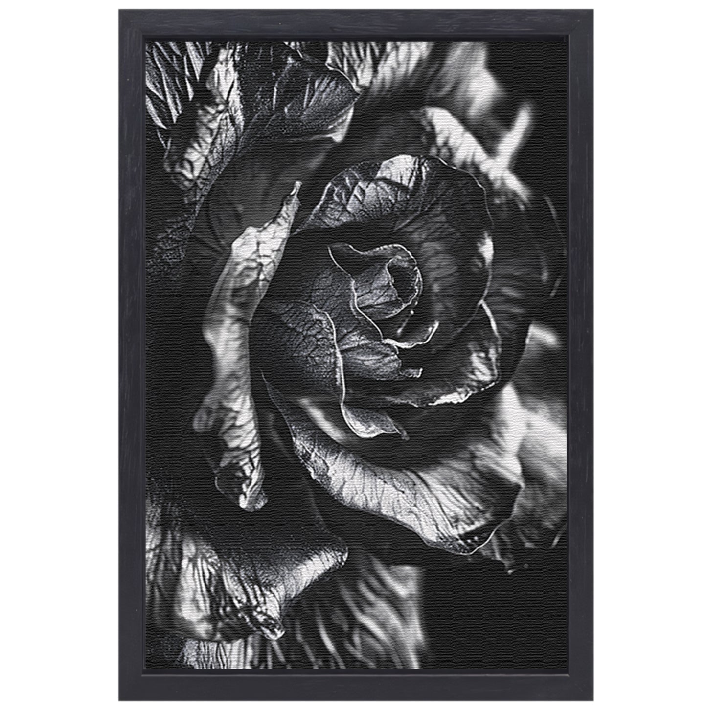 Elegante zwart-wit macrofotografie van een roos canvas met baklijst