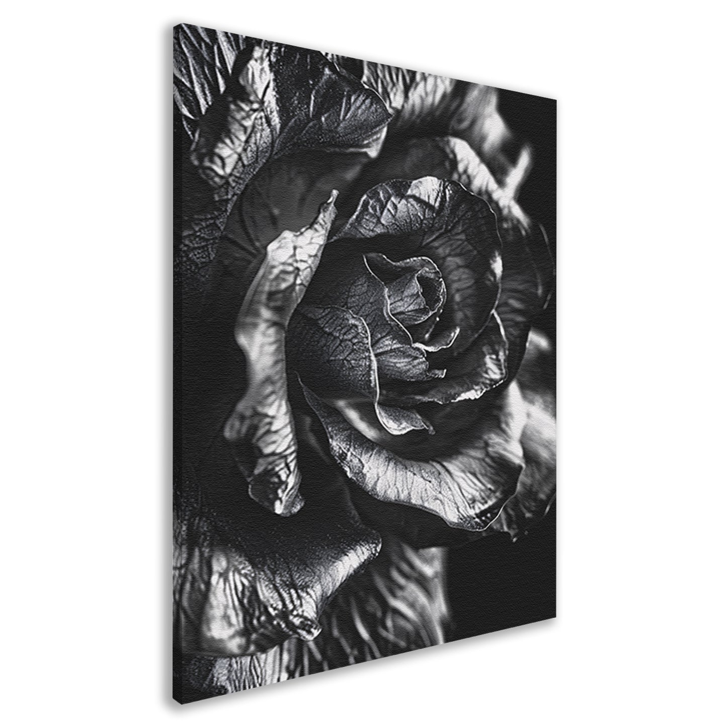 Elegante zwart-wit macrofotografie van een roos canvas