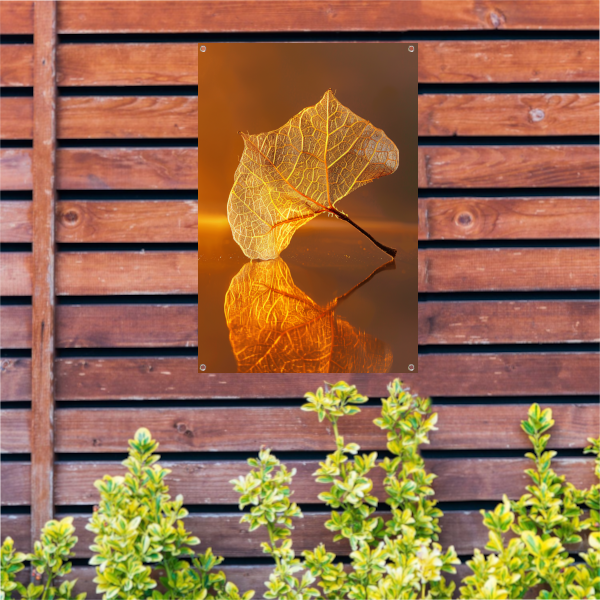 Gedetailleerde oranje blad met gouden reflectie tuinposter