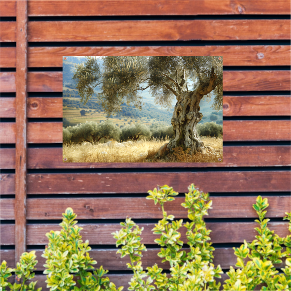Eenzame boom in impressionistisch landschap tuinposter