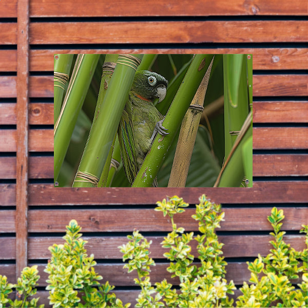 Papegaai verscholen tussen groene bamboe stengels tuinposter