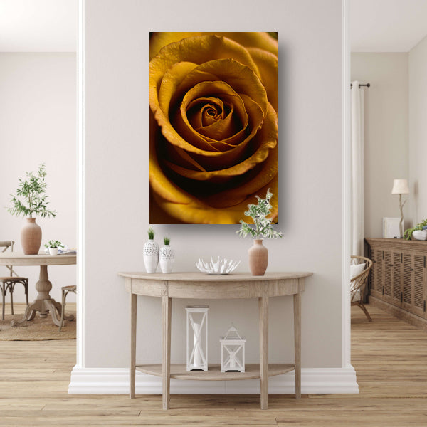 Gouden ochtenddauw op gele roos canvas