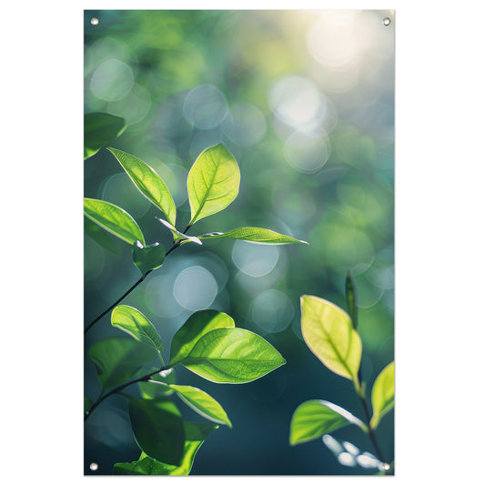 Zonnestralen door groene bladeren in het bos tuinposter
