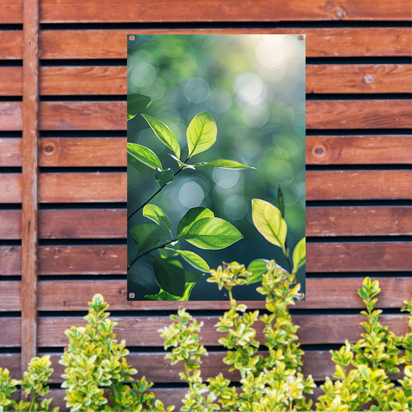Zonnestralen door groene bladeren in het bos tuinposter