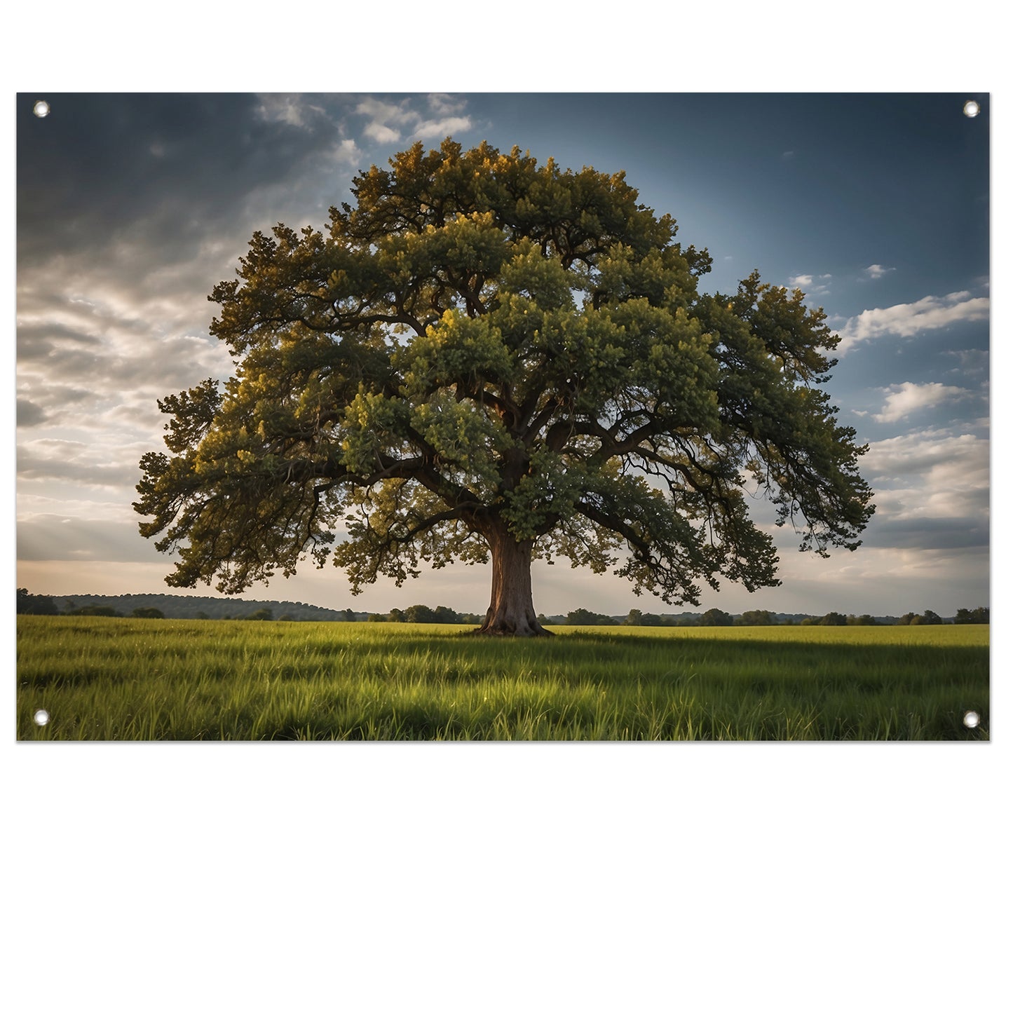 Een majestueuze boom in een groen veld tuinposter