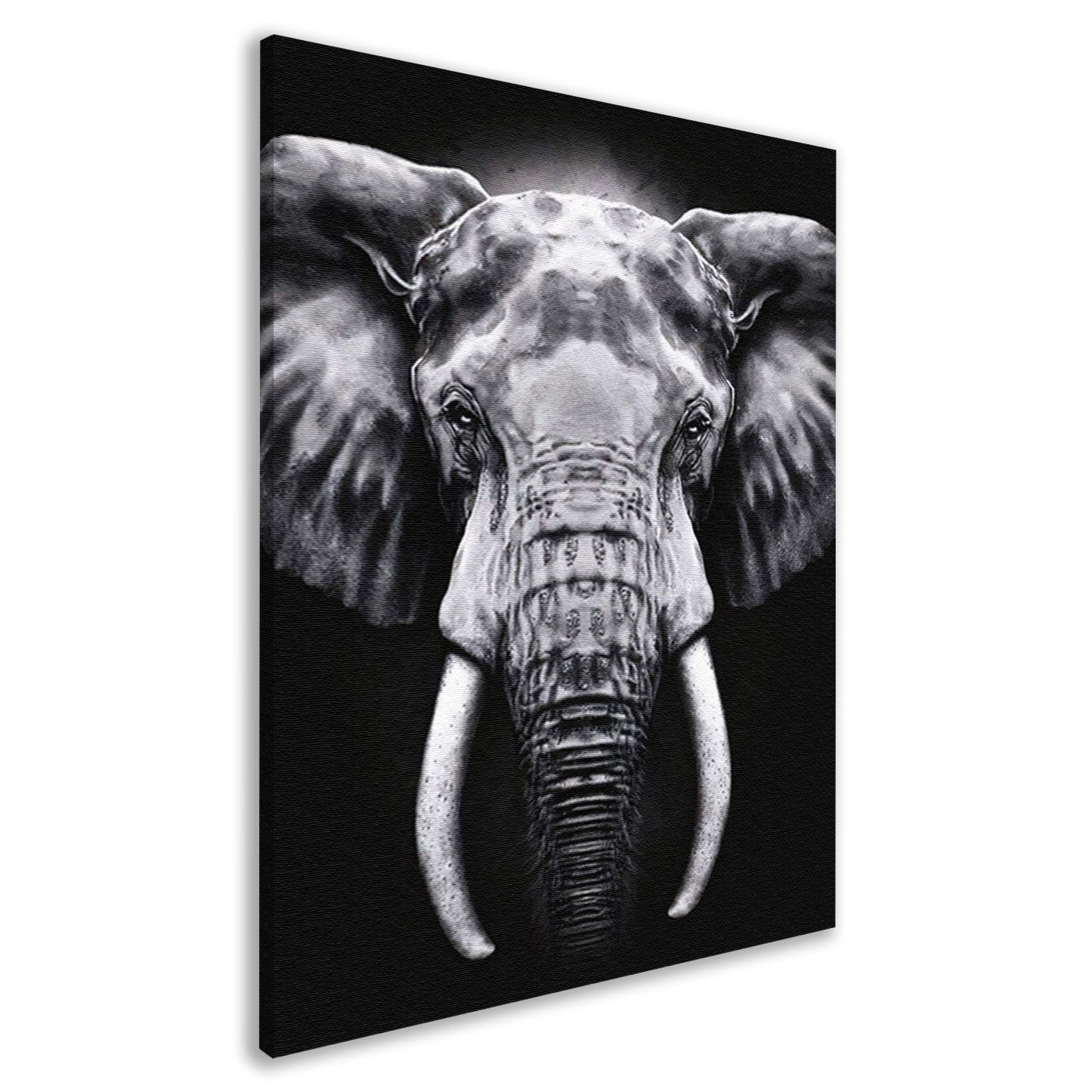 Olifant in monochroom zwart en wit canvas