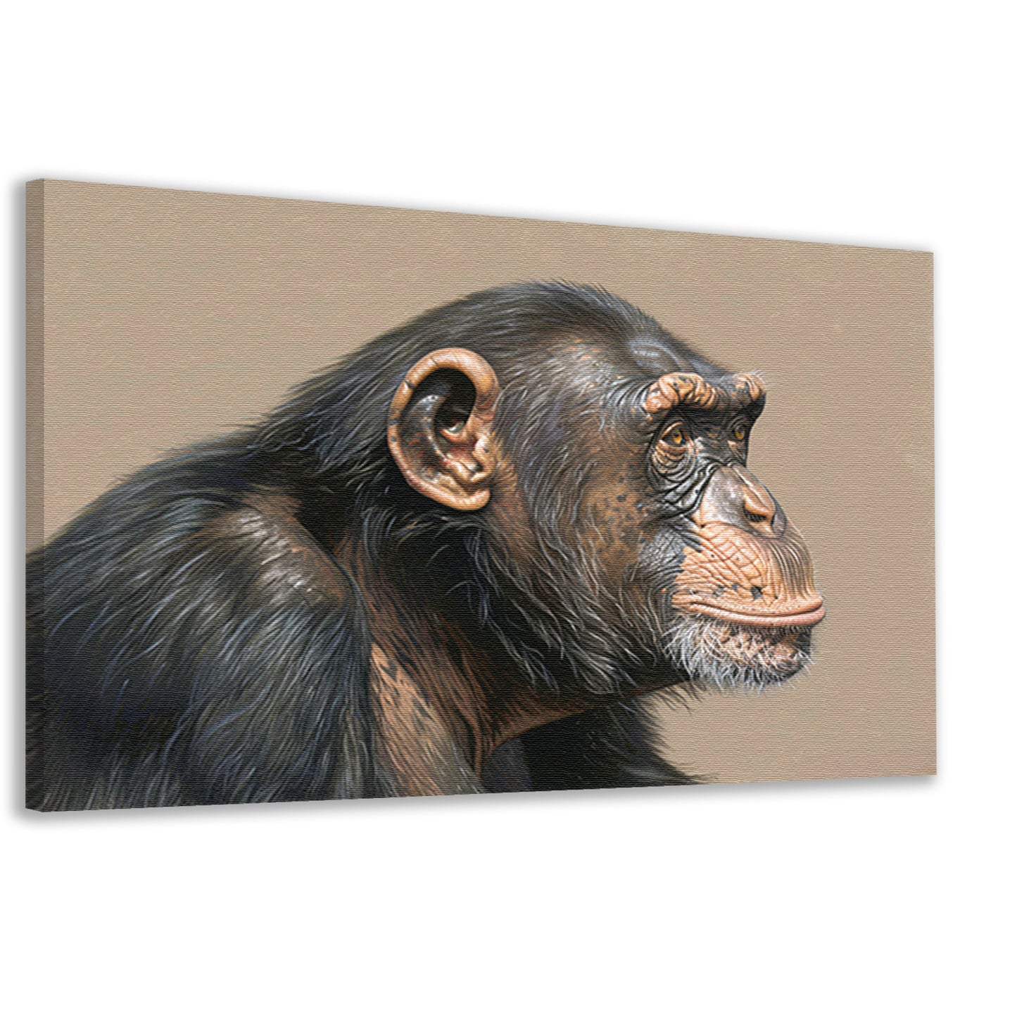 Gedetailleerde realistische aquarel van een aap canvas