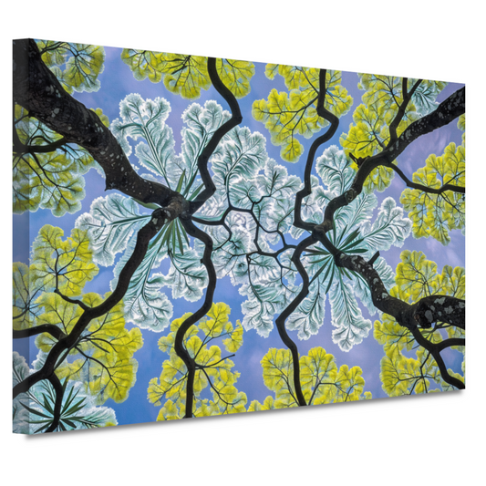 Impressionistische Bomen canvas