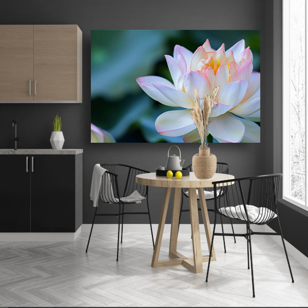 Prachtige close-up van een bloeiende lotus poster