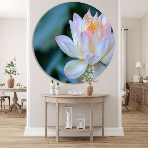 Prachtige close-up van een bloeiende lotus forex muurcirkel