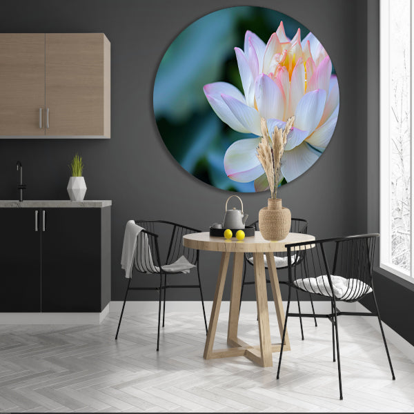 Prachtige close-up van een bloeiende lotus forex muurcirkel