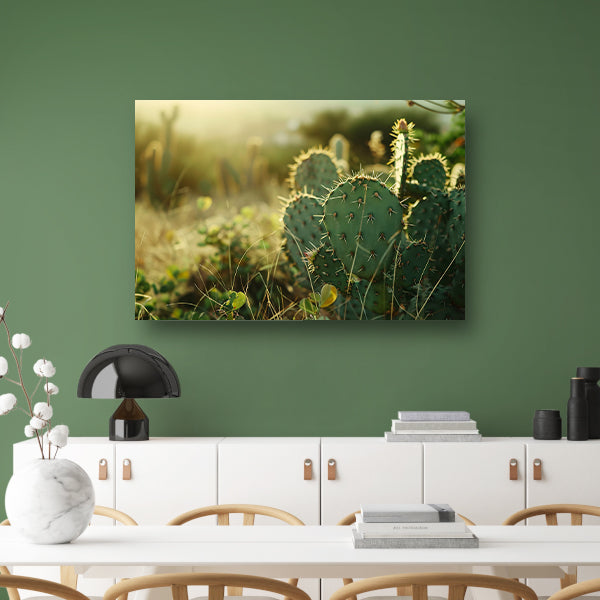 Close-up van cactusveld bij zonsopgang poster