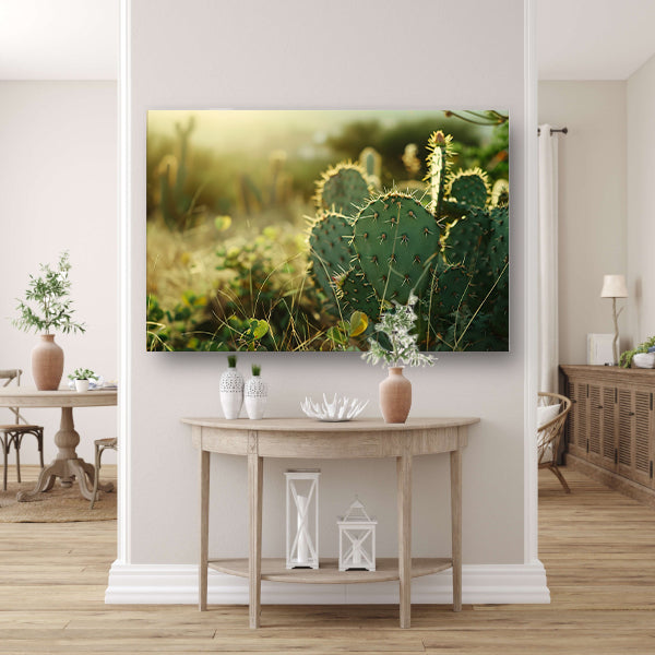 Close-up van cactusveld bij zonsopgang poster