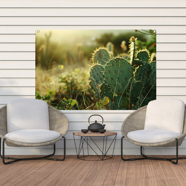 Close-up van cactusveld bij zonsopgang tuinposter