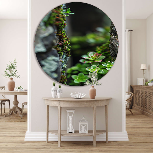 Close-up Groene Planten Tussen Stenen forex muurcirkel