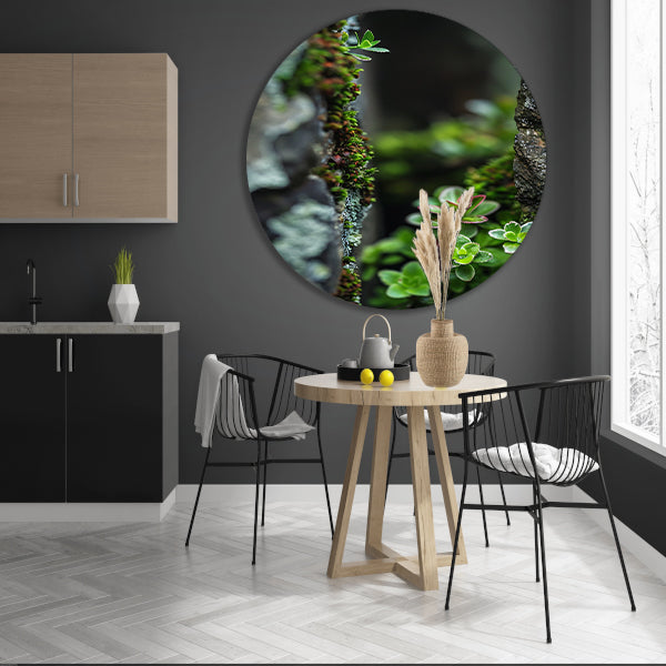 Close-up Groene Planten Tussen Stenen forex muurcirkel