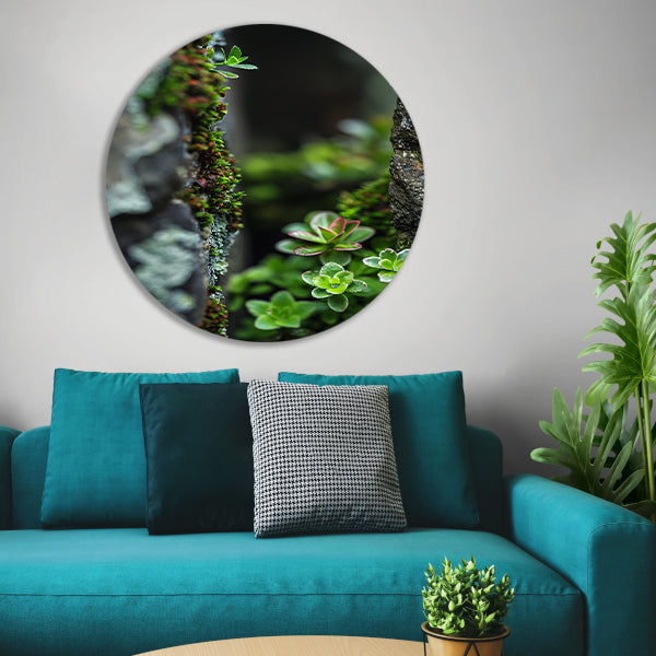 Close-up Groene Planten Tussen Stenen forex muurcirkel