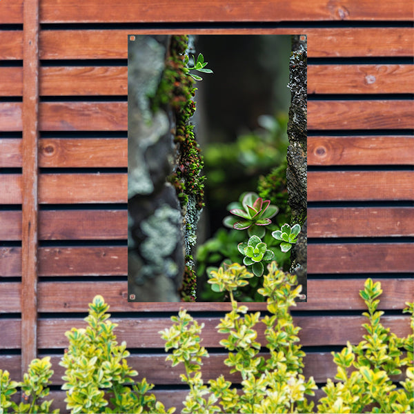 Close-up Groene Planten Tussen Stenen tuinposter