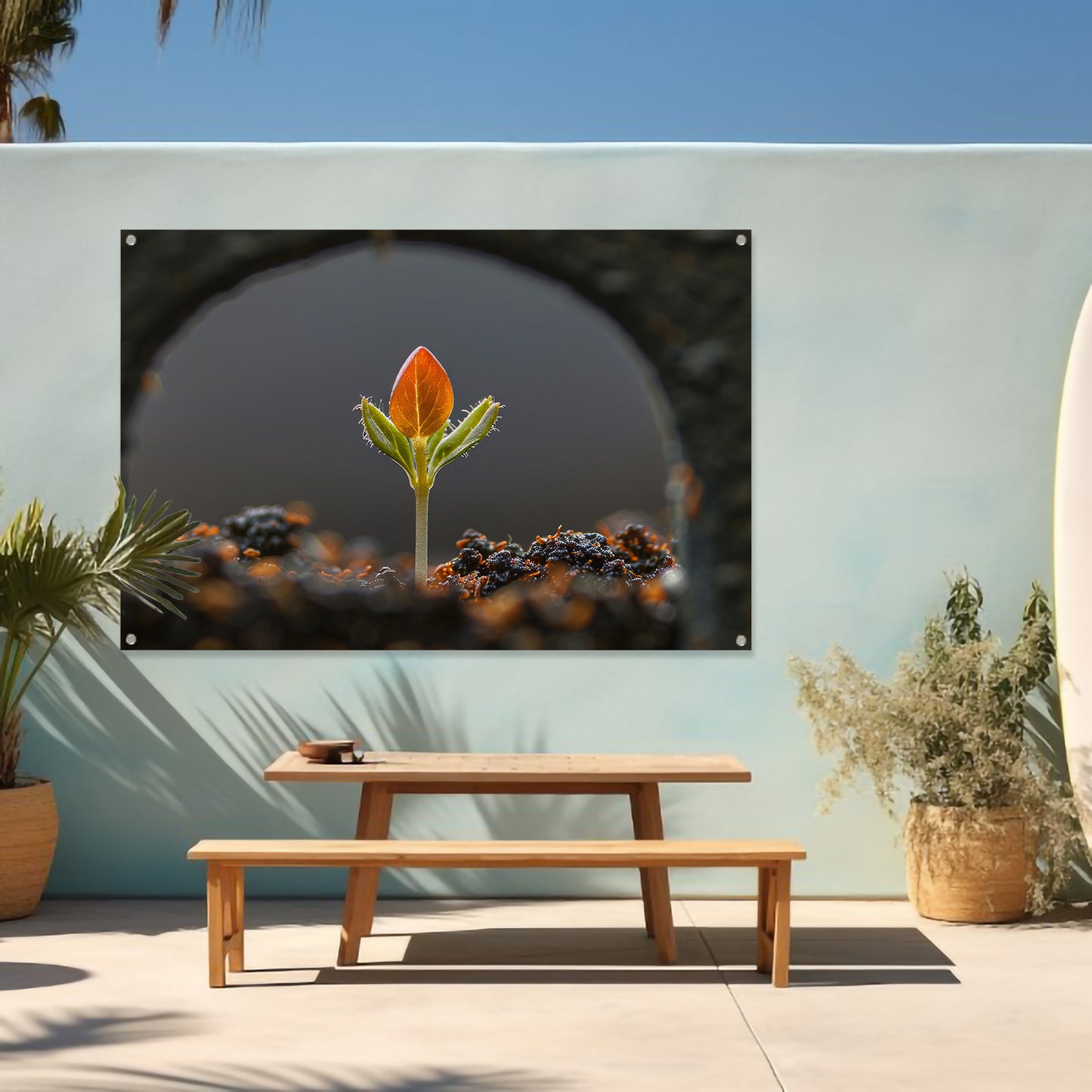 Close-up van ontkiemende plant tuinposter