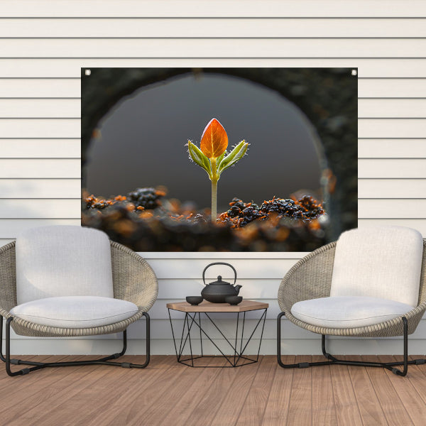 Close-up van ontkiemende plant tuinposter
