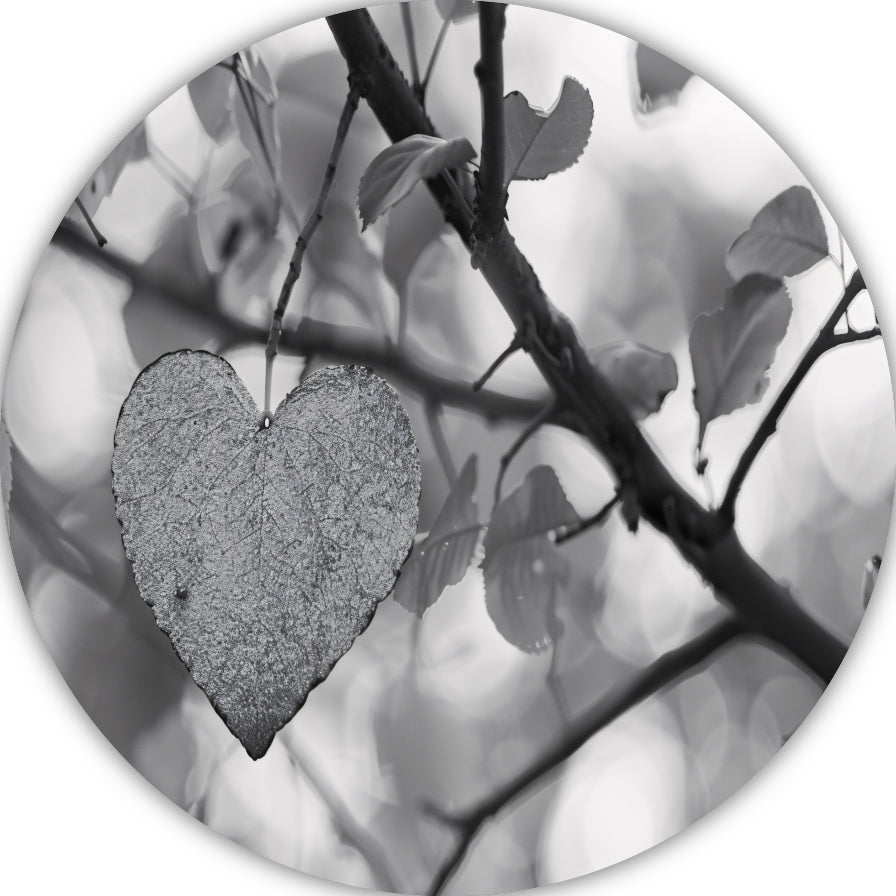 Hart van natuur in monochrome tinten aluminium muurcirkel